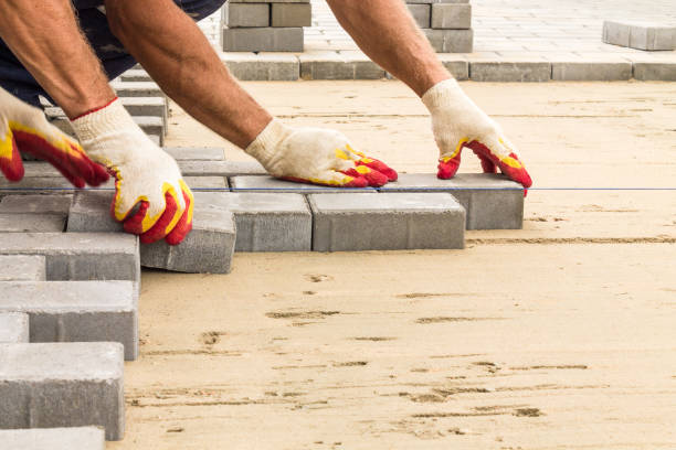 Best Best Driveway Pavers  in Warren, MN