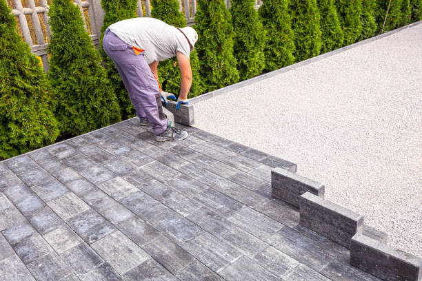Reasons to Select Us for Your Driveway Paving Requirements in Warren, MN